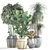 Exotic Plant Collection: Dracaena, Bromelia, Bamboo & Ficus Lyrata 3D model small image 3