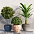 Tropical Plant Trio Set 3D model small image 1