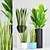 Green Oasis Pot Set: Aloe Vera, Cylindrical Sansevieria & Palm Plant 3D model small image 1