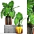 Exotic Tropical Philodendron: Decorative Indoor Plant 3D model small image 1