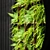 Elegant Fern Wall Panel 3D model small image 5