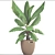 Tropical Vibes in a Pot: Banana Palm 3D model small image 3