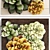 Echeveria Vertical Garden: Succulent Phytomodule 3D model small image 2