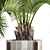 Exotic Butia Capitata Palms 3D model small image 2