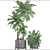 Elegant Chamaedorea: Perfect Palm for Your Interior 3D model small image 3