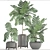 Elegant Chamaedorea: Lush Indoor Palm 3D model small image 3