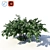 Chubushnik (Jasmine) Shrub - Versatile and Detailed 3D model small image 1