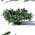 Chubushnik (Jasmine) Shrub - Versatile and Detailed 3D model small image 2