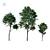 Versatile Fraxinus Excelsior Variations 3D model small image 1