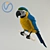 Vibrant Blue-Yellow Macaw Toy 3D model small image 1