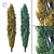 Versatile Populus Tree: Two Annual Variations 3D model small image 1