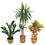 Greenery Oasis: 2014 Houseplants 3D model small image 1