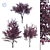 Prunus Cerasifera Tree Collection 3D model small image 1