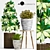 Green Oasis: Decorative Planters Set 3D model small image 1