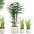 Lush Green Collection: Palm, Sensavia & Grass Pot 3D model small image 1