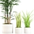 Lush Green Collection: Palm, Sensavia & Grass Pot 3D model small image 2