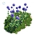 Botanical Bliss: Echinops Banaticus 3D model small image 1