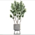 Reflexa Dracaena Plant in Stylish Pot 3D model small image 3