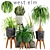 Indoor Greenery Collection 3D model small image 1