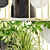 Luxury Indoor Plant Collection 3D model small image 2