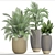 Tropical Plant Mix: Areca Palm, Howea, Kentia, Phoenix 3D model small image 3