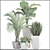 Green Haven: Beautiful Indoor Plant Collection 3D model small image 3