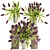 Spring Tulip Bouquet Collection 3D model small image 1