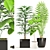 Green Oasis: Palm & Ficus Elastica Set 3D model small image 1