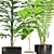 Green Oasis: Palm & Ficus Elastica Set 3D model small image 2