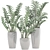 Zamioculcas Collection: Stunning Interior Plants 3D model small image 3