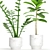  Elegant Indoor Plant Set 3D model small image 2