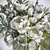 Scandi Blooms: Tulips, Eucalyptus & Willow 3D model small image 3