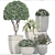 193 Plant Collection - Capi Europe Pots 3D model small image 3