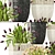 Tulip Trio Garden Collection 3D model small image 2