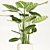 Calathea Orbifolia: Elegant Indoor Plant 3D model small image 2