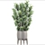 Dracaena Reflexa: Stylish Indoor Plant 3D model small image 3