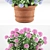 Hortense Hydrangea: Lifelike Plant Decoration 3D model small image 3