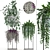 Indoor Hanging Plants & Monstera - Plant Collection 3D model small image 1