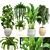 Indoor Plant Collection: Ficus Alii, Schefflera, Zamioculcas & Caladium 3D model small image 1