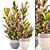 Bloomingville Terracotta Collection: Croton in Pot 3D model small image 1