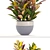 Bloomingville Terracotta Collection: Croton in Pot 3D model small image 2