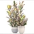 Bloomingville Terracotta Collection: Croton in Pot 3D model small image 3