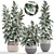 Scandinavian Style Ficus Collection 3D model small image 1