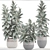 Scandinavian Style Ficus Collection 3D model small image 3