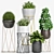 DuoPlanter - Modern Plant Set 3D model small image 1