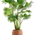 Indoor Clay Pot Palm 3D model small image 2