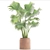 Indoor Clay Pot Palm 3D model small image 3