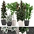 Lush Ficus Collection: Robusta, Elastica & Lyrata 3D model small image 1