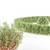 Elegantissima White Bush | Cornus Alba 3D model small image 2