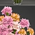 Spring Blooms: 10 Carnation Collection 3D model small image 2